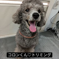 画像5229