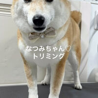 画像5233