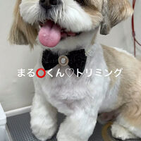 画像5237
