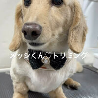 画像5239