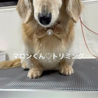 画像5241