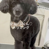 画像5245