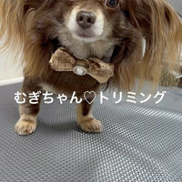 画像5247