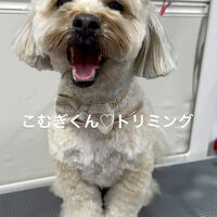 画像5249