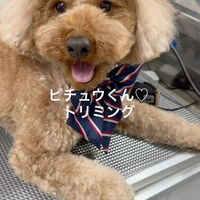 画像5253