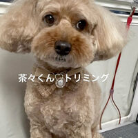 画像5283