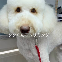 画像5285