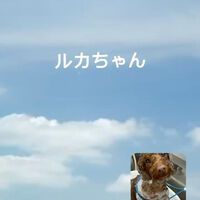 画像5289