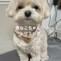 画像5351
