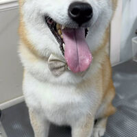画像5409