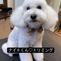 画像5425