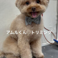 画像5441