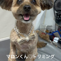 画像5449