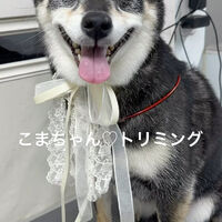 画像5523