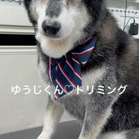 画像5525