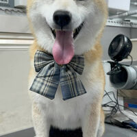 画像5539