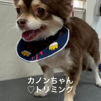 画像5547