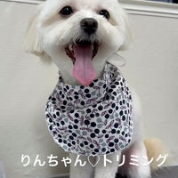 画像5553