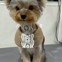 画像5567