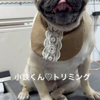 画像5595