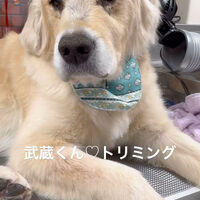 画像5617