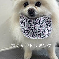 画像5623