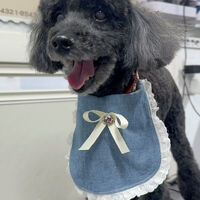 画像5655