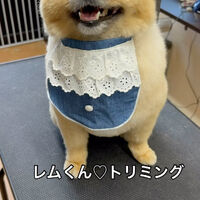 画像5675