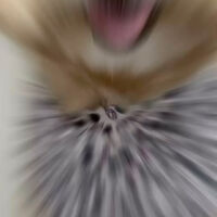 画像5687