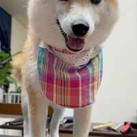 画像5759