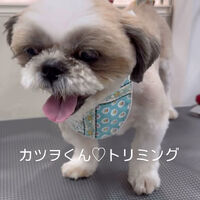 画像5825