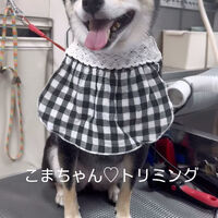 画像5883