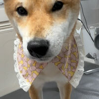 画像5973