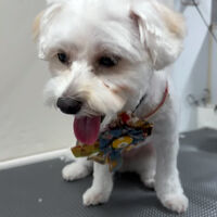 画像5997