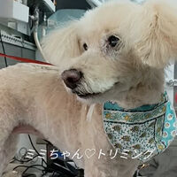 画像6062
