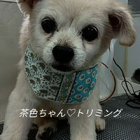画像6098