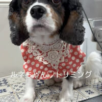 画像6262