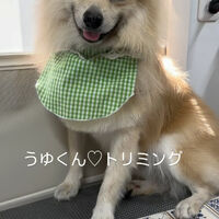 画像6264