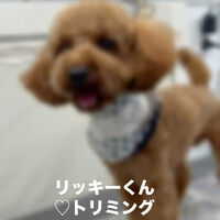 画像6382