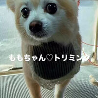 画像6478