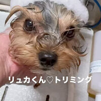 画像6484