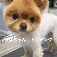 画像6486