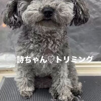 画像6488