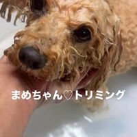 画像6492