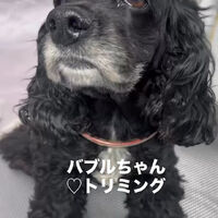 画像6496