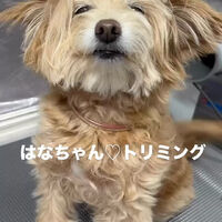 画像6498