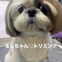 画像6500