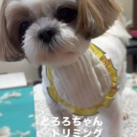 画像6536