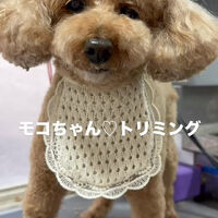 画像6544
