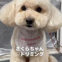画像6566